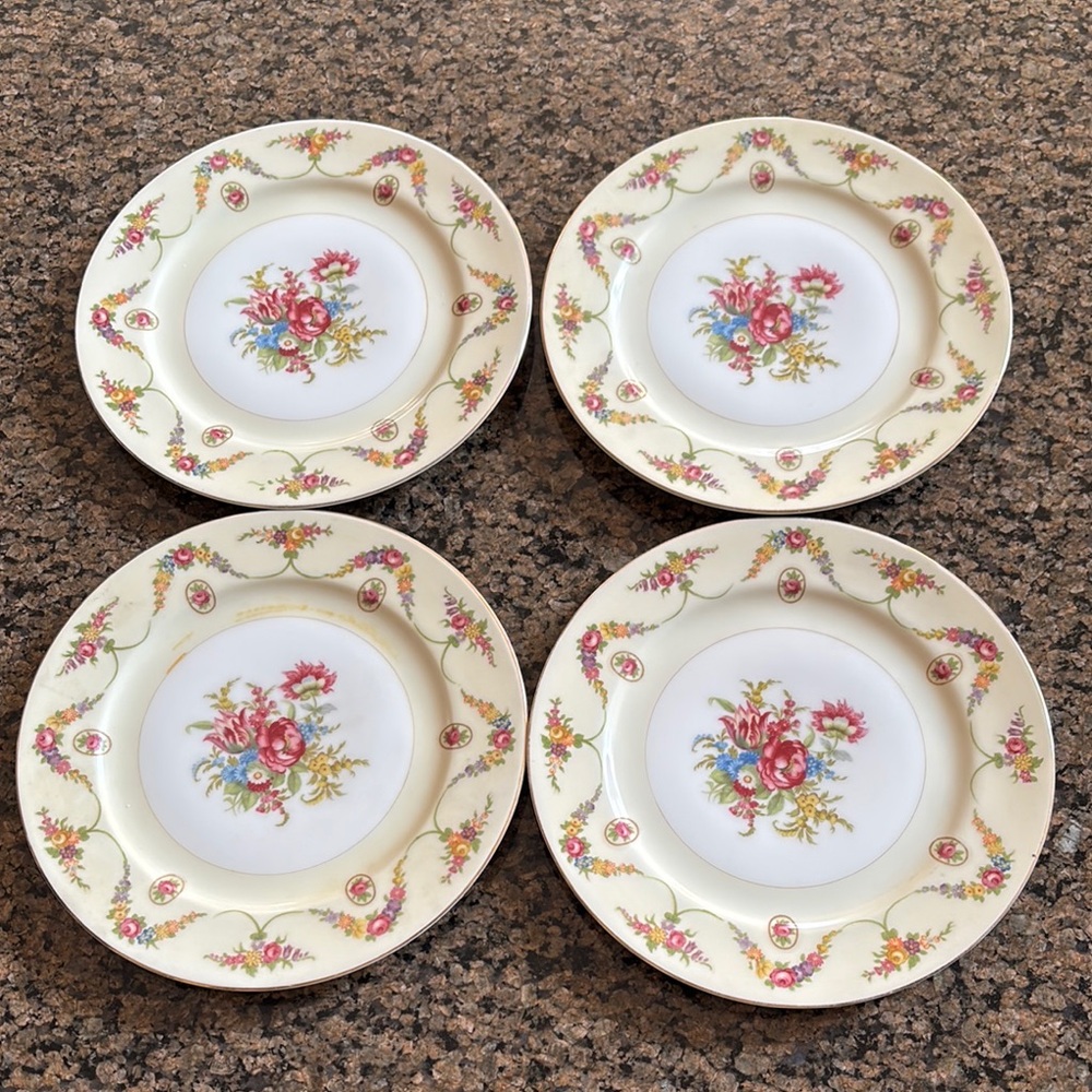 Floral Cream Dinner Plates Set